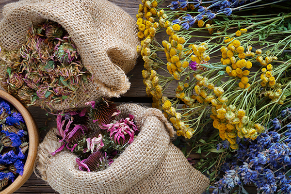 Gemmotherapy: Healing with the power of buds