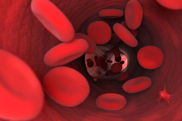 What exactly does our blood reveal?