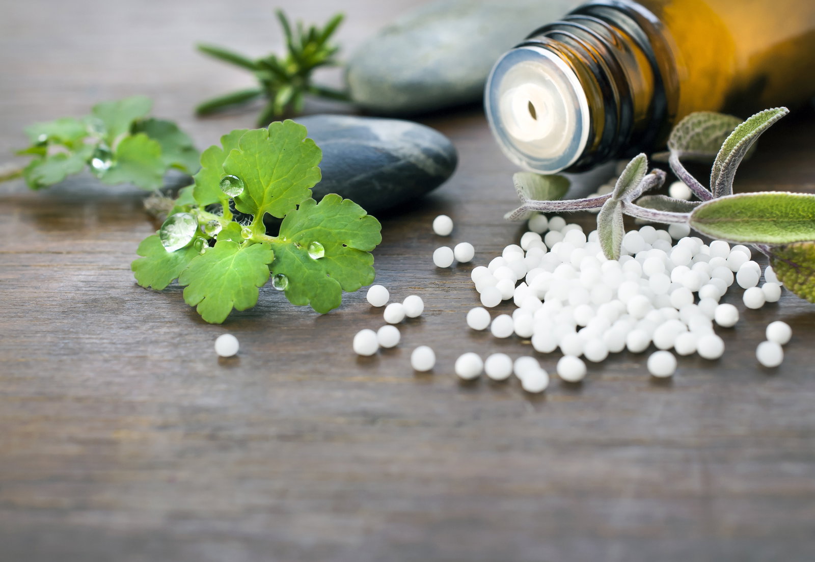 2 ways to heal gently: Homeopathy vs. phytotherapy