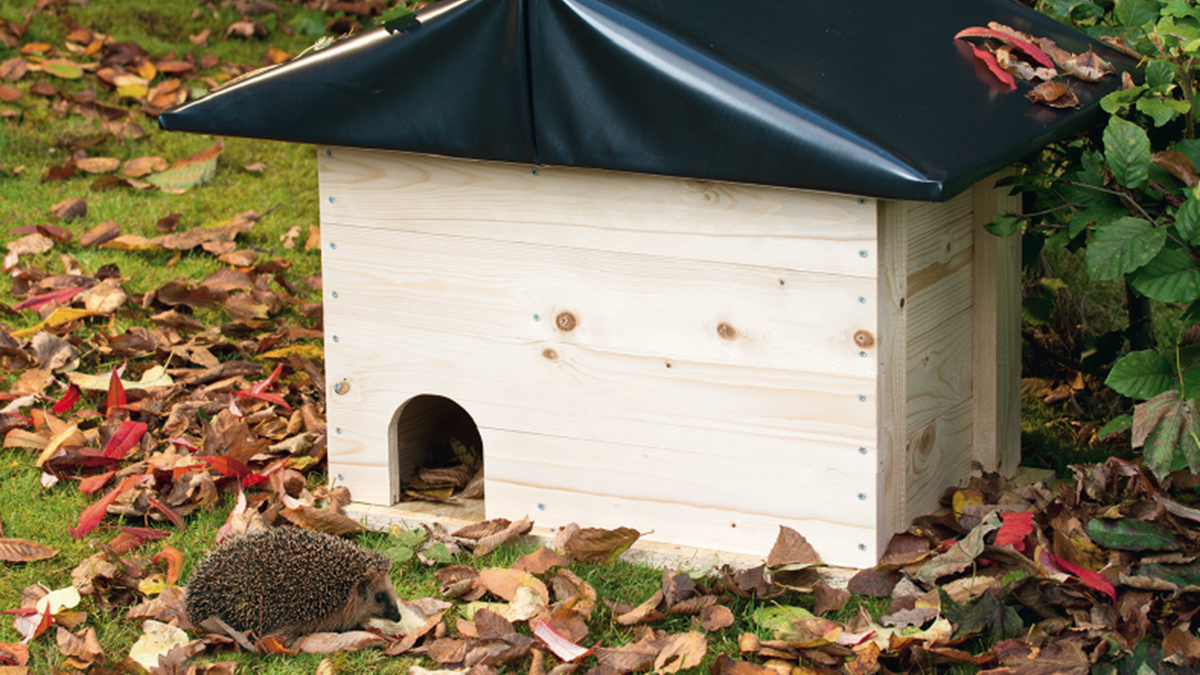 Piekfein hedgehog hotel: cozy shelter for cute garden dwellers