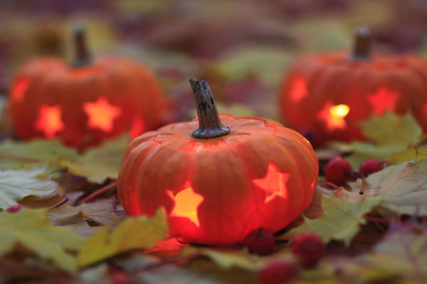 Creative fall decorations with pumpkin art