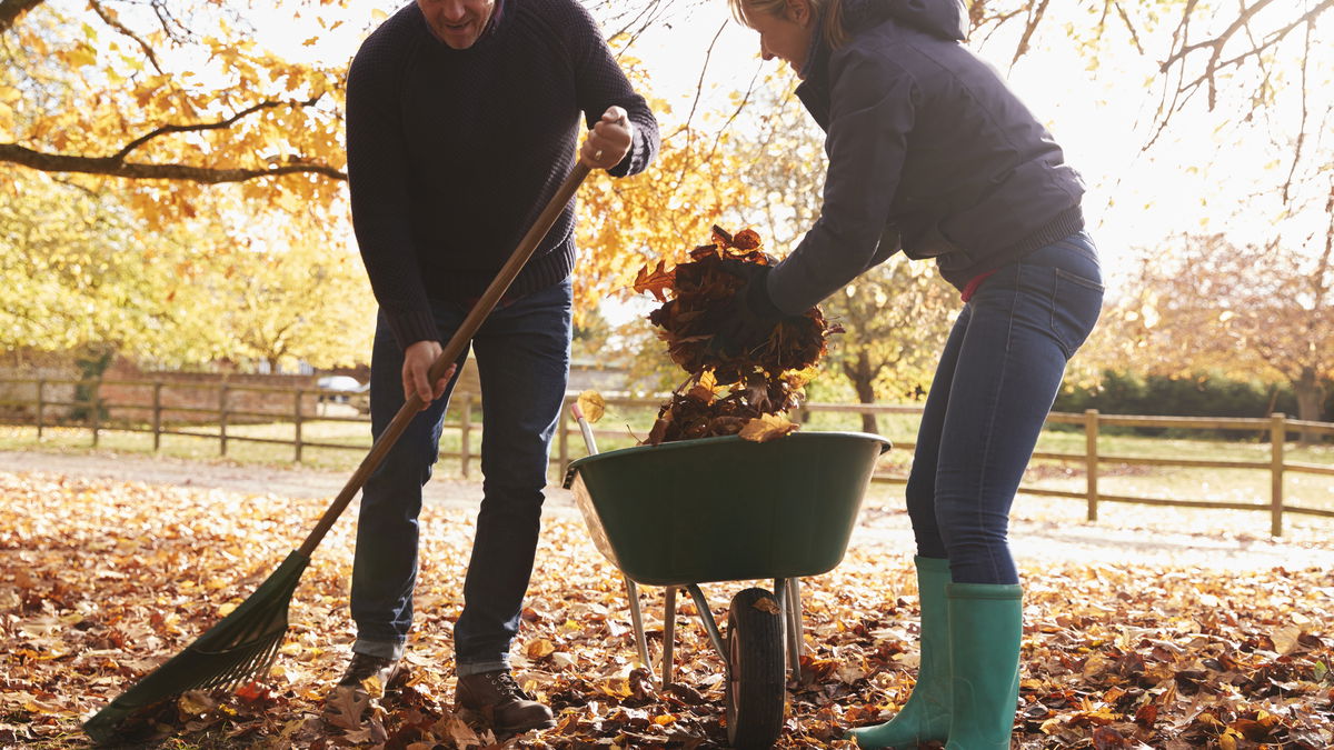 Gardening: why more and more people are enjoying it