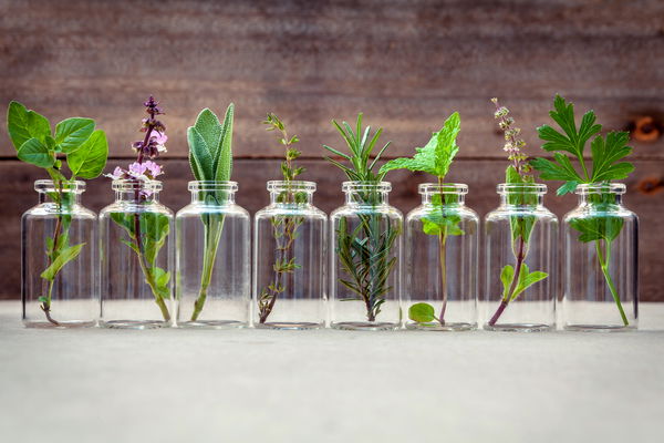 Sanfte Hilfe aus der Natur: Wintermedizin zum Selbermachen