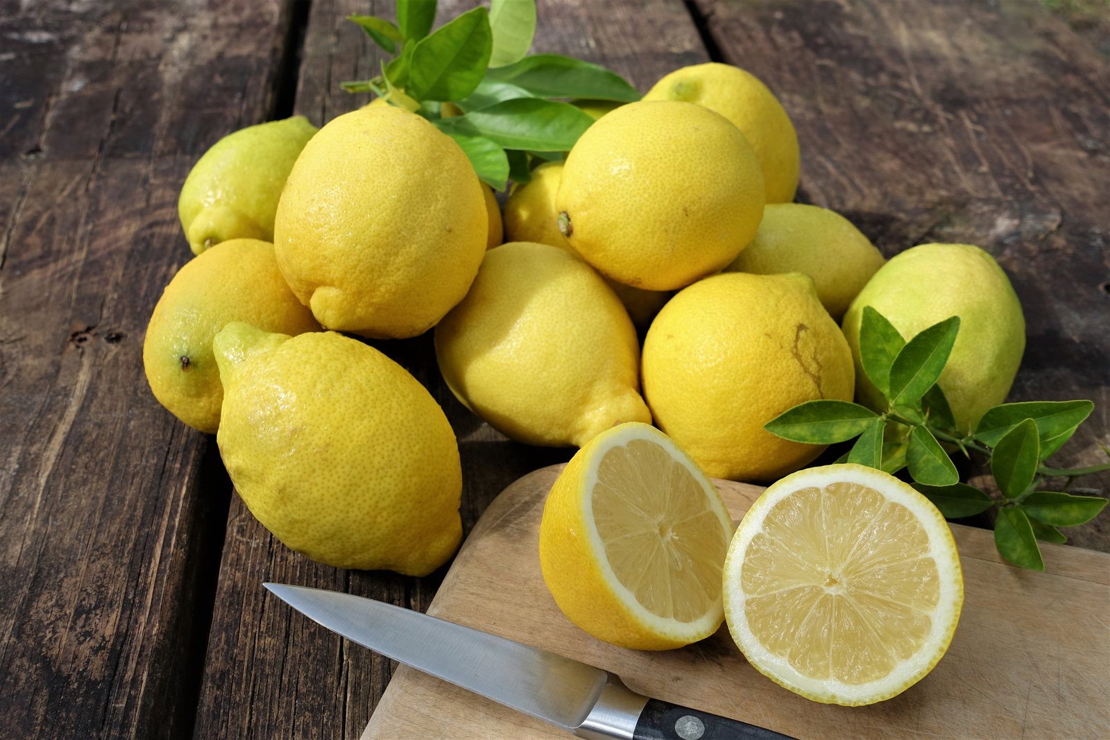 Ekşi güç: limonlar neler yapabilir