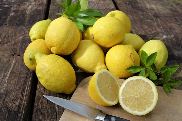 Sour power: what lemons can do