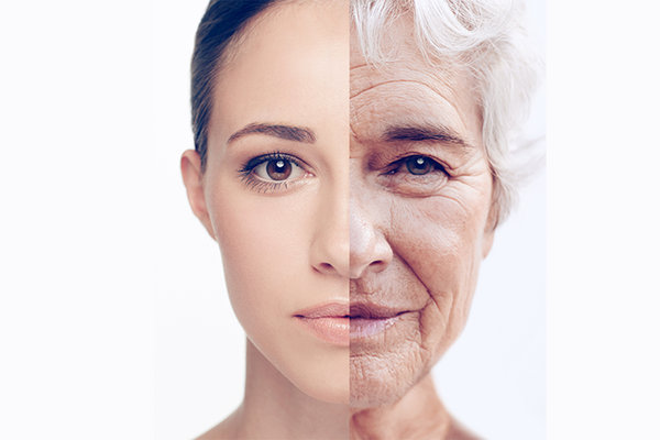 Why do we age? Facts and figures