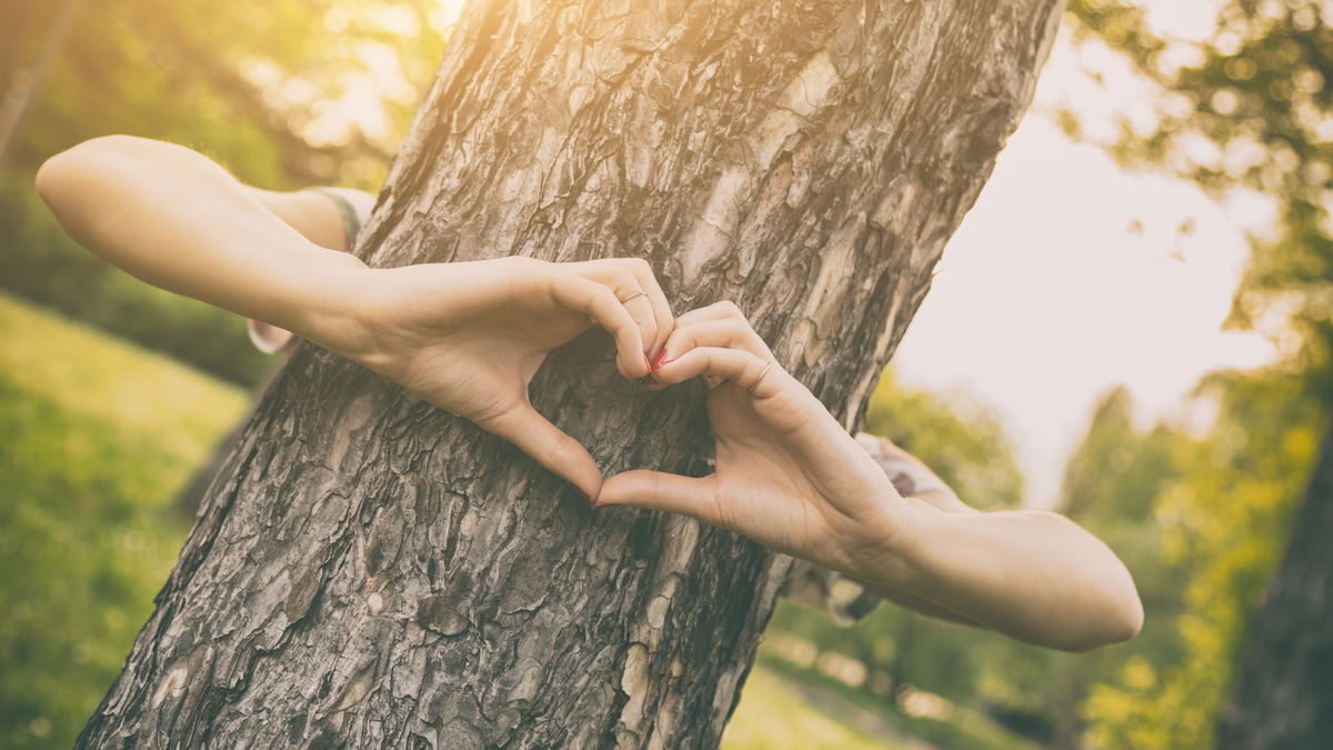 Living an environmentally conscious life: How can we really help nature?