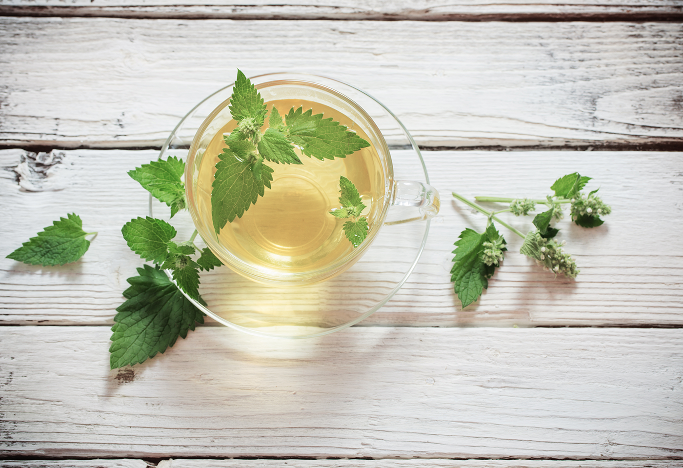 Se désintoxiquer naturellement : Les 4 meilleures herbes détox