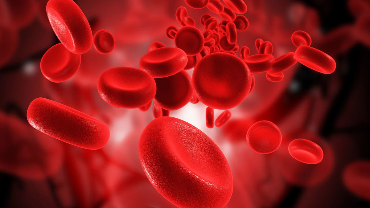 Autologous blood treatment: Why this healing therapy is so good for us