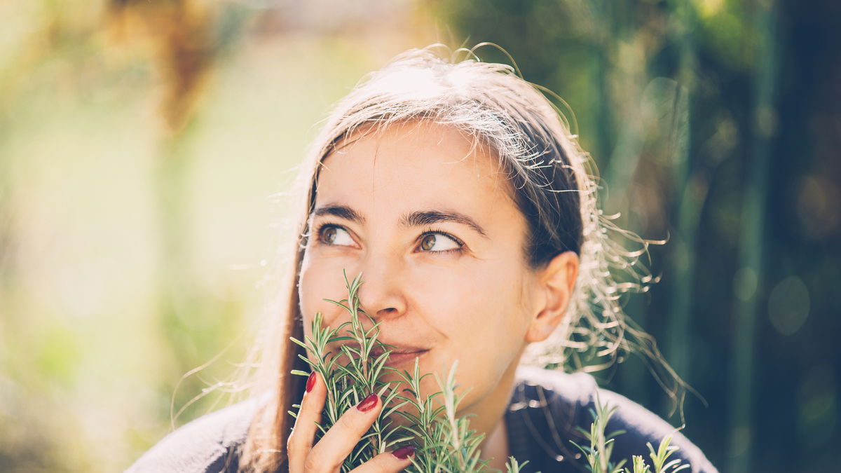 Preserving herbs: 5 useful tips