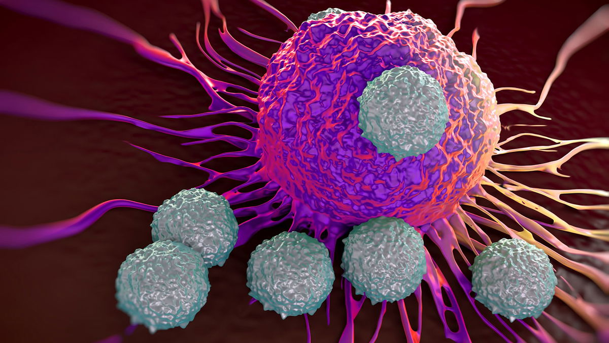 Actif contre le cancer : quelle est l'influence du psychisme et du système immunitaire ?