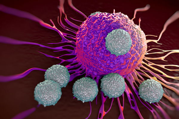 Actif contre le cancer : quelle est l'influence du psychisme et du système immunitaire ?