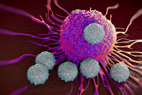 Aktiv gegen Krebs: Welchen Einfluss haben Psyche und Immunsystem?