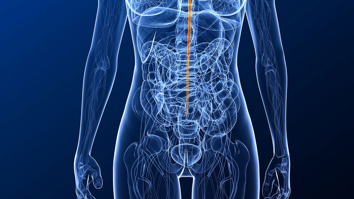 Quel est le danger d'une infection à pneumocoques ?