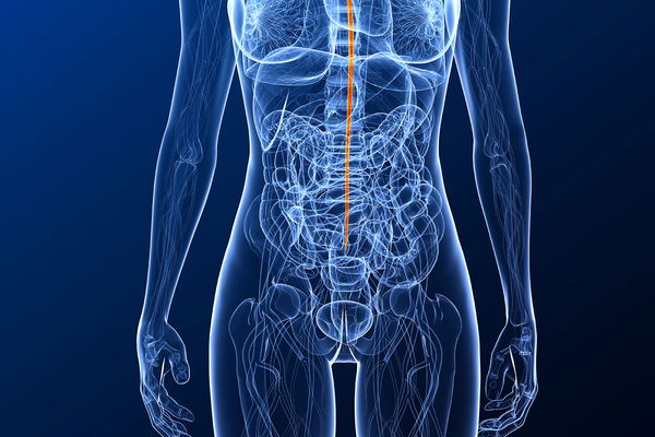 Quel est le danger d'une infection à pneumocoques ?