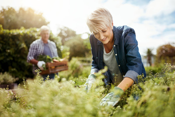 Garten Trends 2018