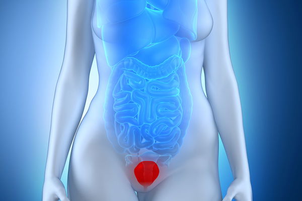The right pelvic floor training