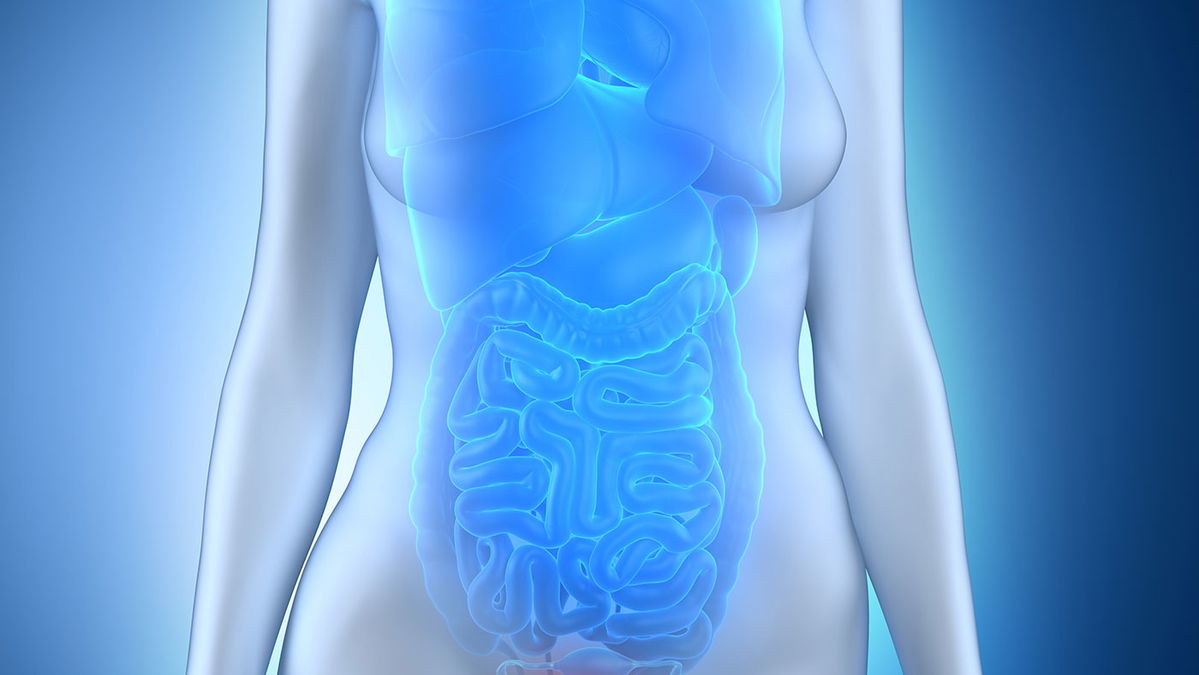 The right pelvic floor training