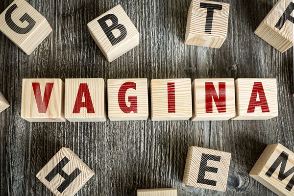 Labia, Venüs dudakları ve aşk dudakları