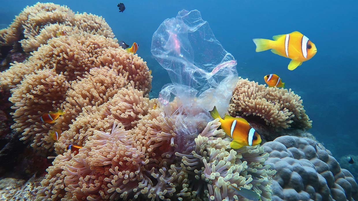 Nachhaltigkeit im Alltag: Wie Sie ganz persönlich die Umwelt retten können