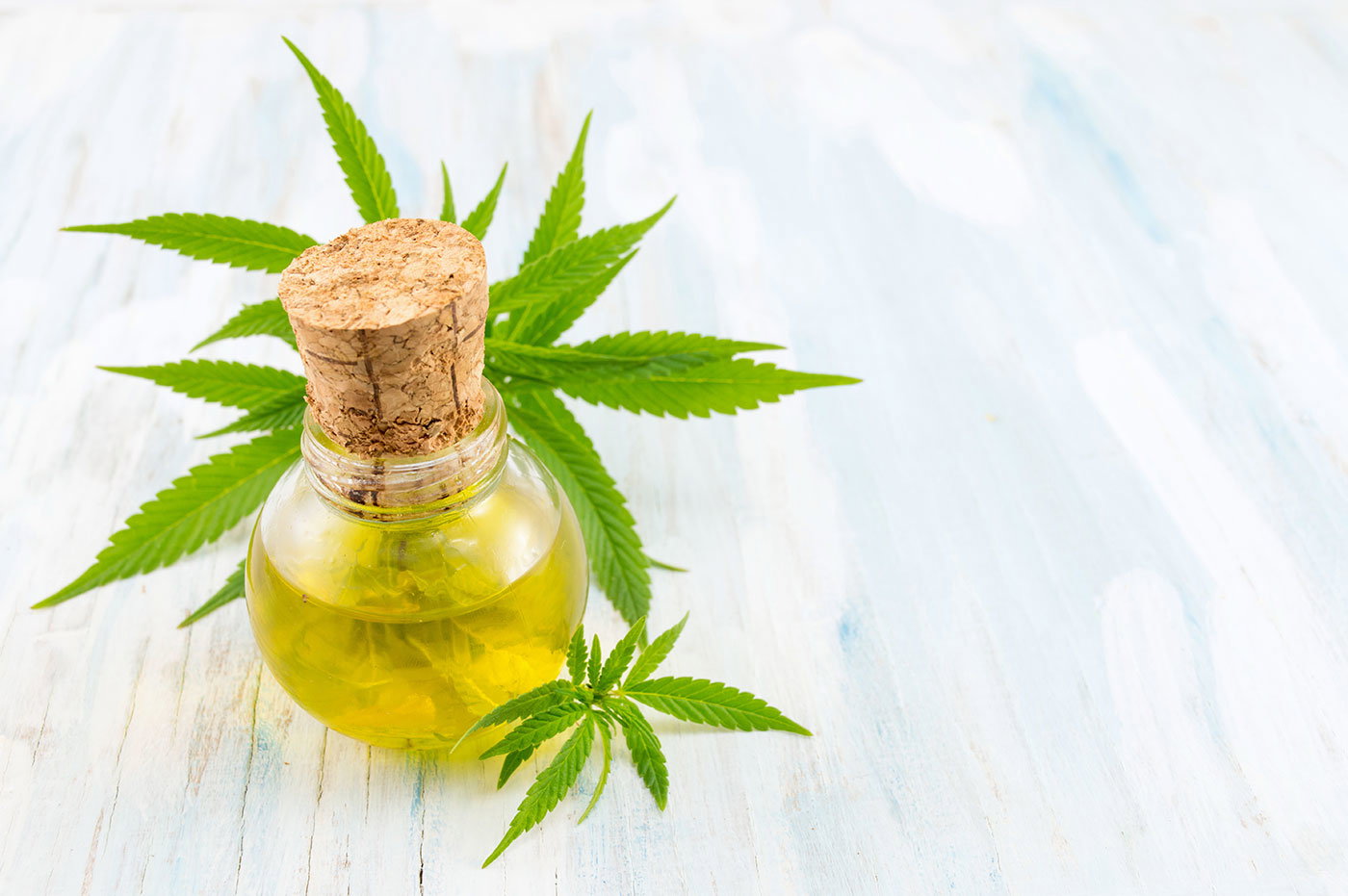 Cannabis-is? Ben&Jerry's vil lancere en variant med aktiv CBD-ingrediens