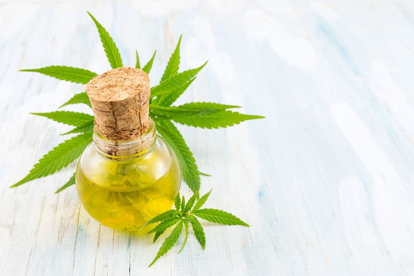Cannabis ice cream? Ben&amp;Jerry's wants to launch variety with CBD active ingredient