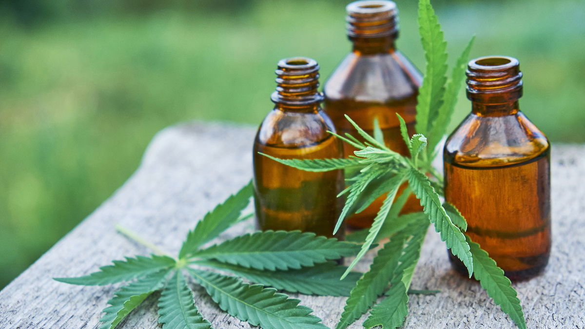 Olej CBD: co kryje się za modnym składnikiem aktywnym z konopi indyjskich?