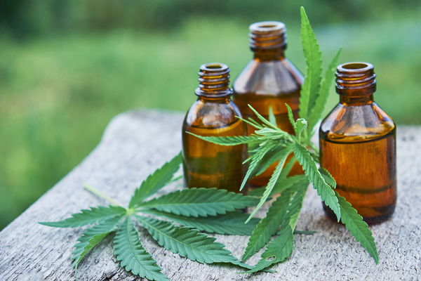 Olej CBD: co kryje się za modnym składnikiem aktywnym z konopi indyjskich?
