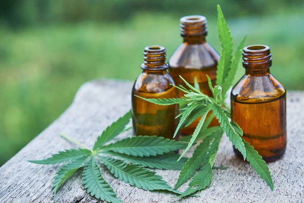 CBD-olie: hvad der ligger bag den trendy aktive ingrediens fra cannabisplanten