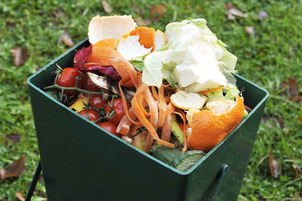Keep your organic waste garbage can clean: So that it doesn't stink in summer