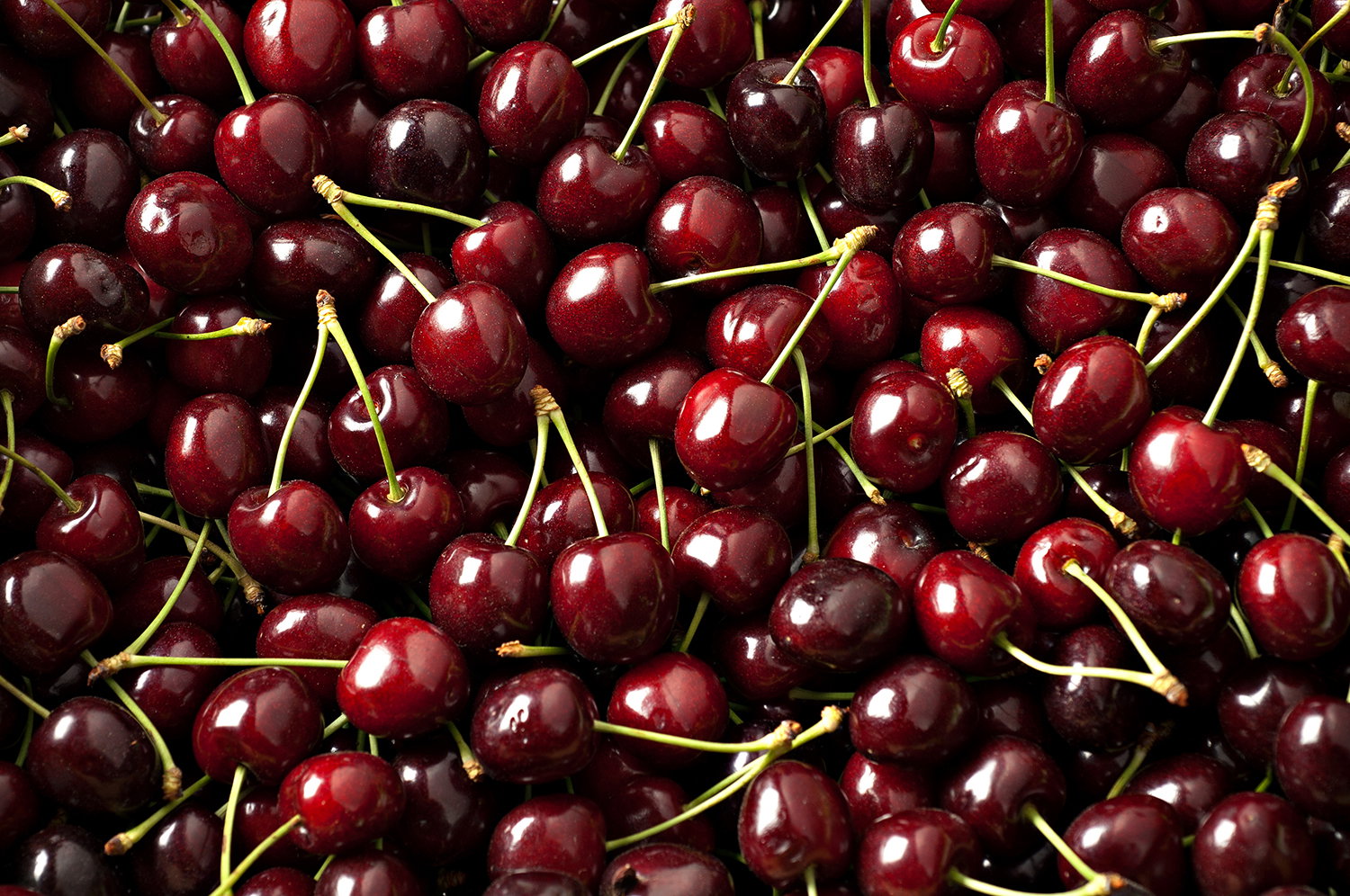 Preserving cherries for longer: this way you don't have to throw anything away