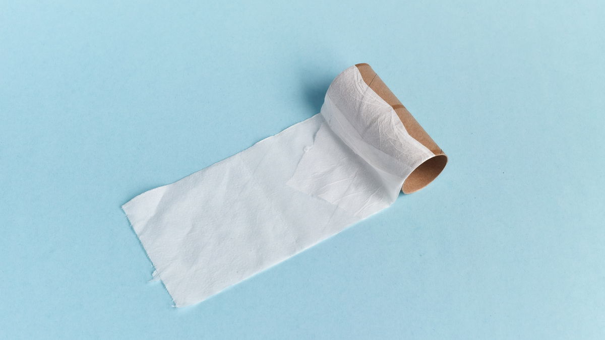4 household tricks with toilet paper rolls