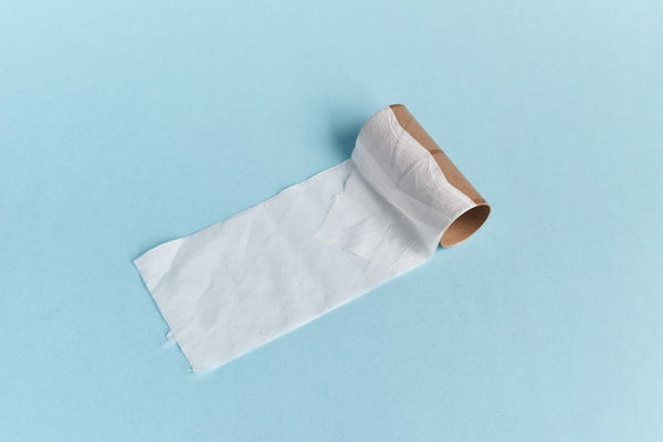 4 husholdningstricks med toiletruller