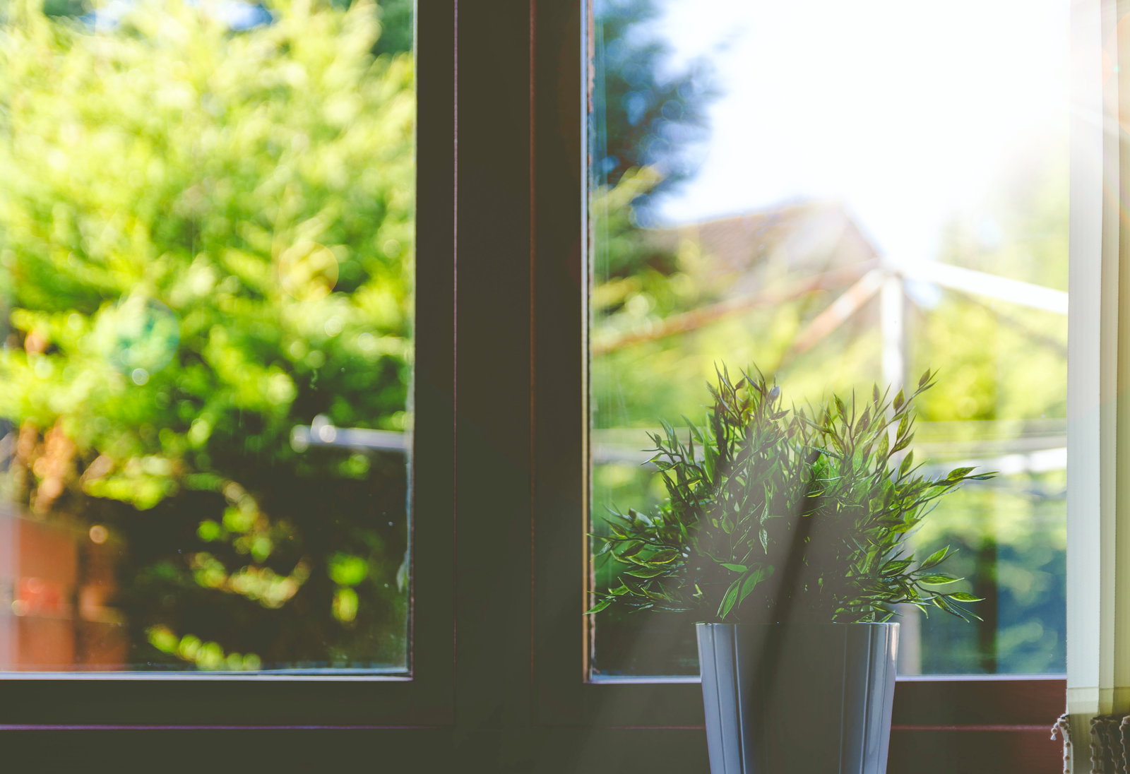 Beskyttelse af vinduer: de bedste tips