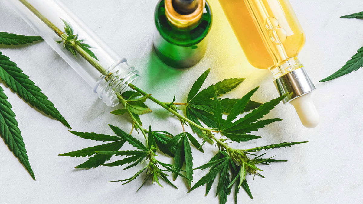 CBD oil for pain - how it can help