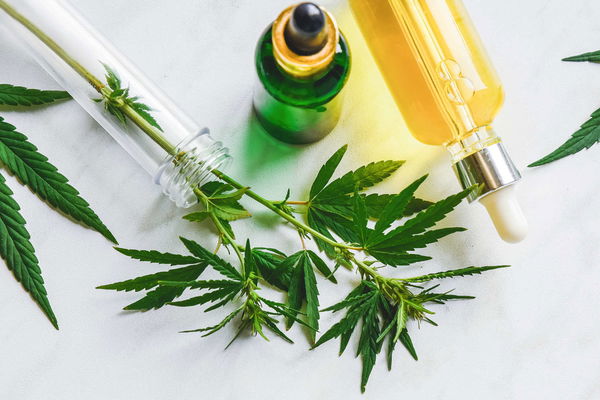 CBD Öl bei Schmerzen - so kann es helfen