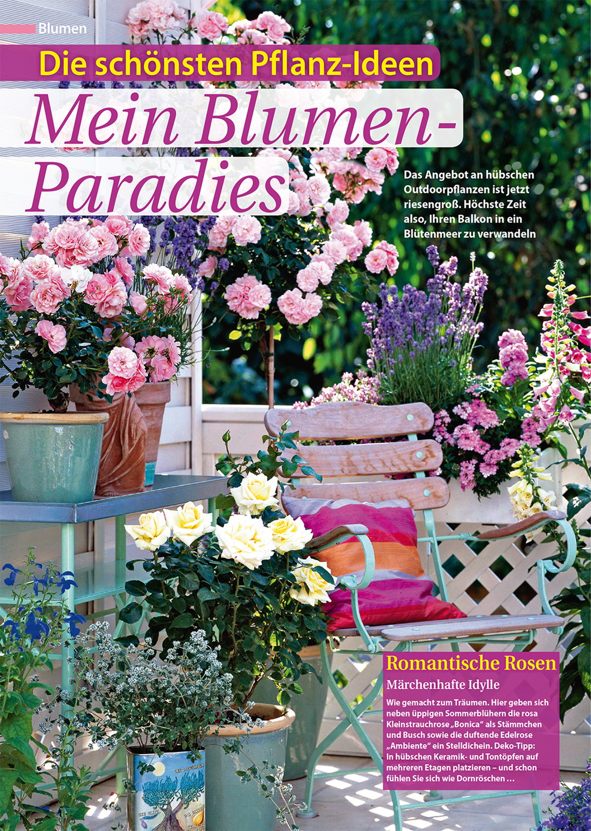 Mein Blumen-Paradies