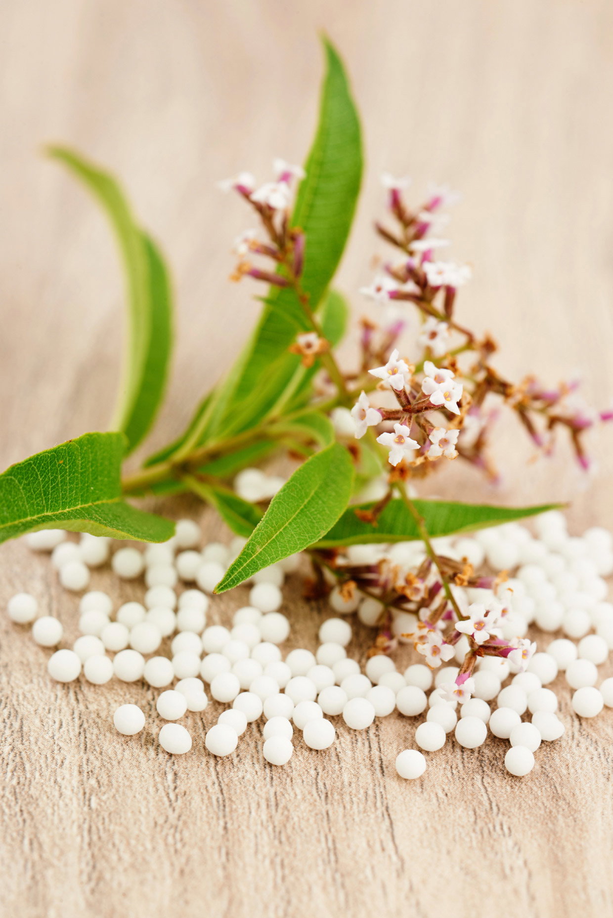 Die magischen 11 homöopathischer Mittel