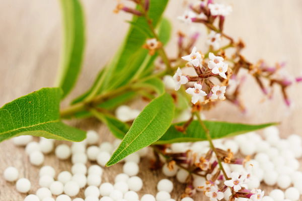 Die magischen 11 homöopathischer Mittel