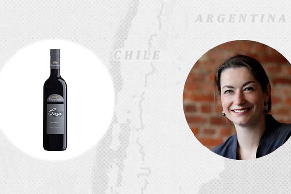Ina's Weintipp der Woche: 2013er Merlot, Casa Lapostolle, Rapel Valley in Chile