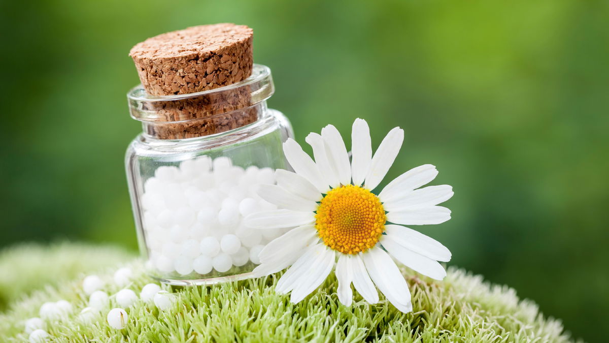 Küreciklerle nazik şifa: homeopatik ilaç dolabının arkasında ne var