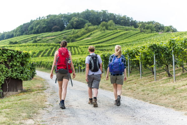 Event tips from the vinoa experts: Wine events in April