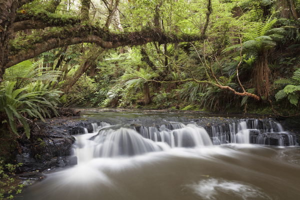 New Zealand - Traveling through the land of the hobbits