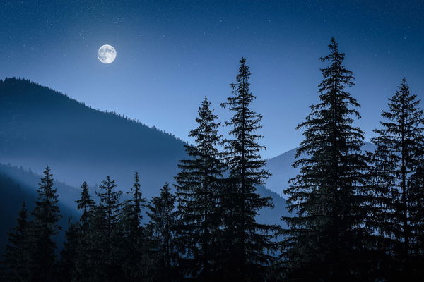 Le pouvoir des signes lunaires : Comment ils influencent nos actions et nos sentiments