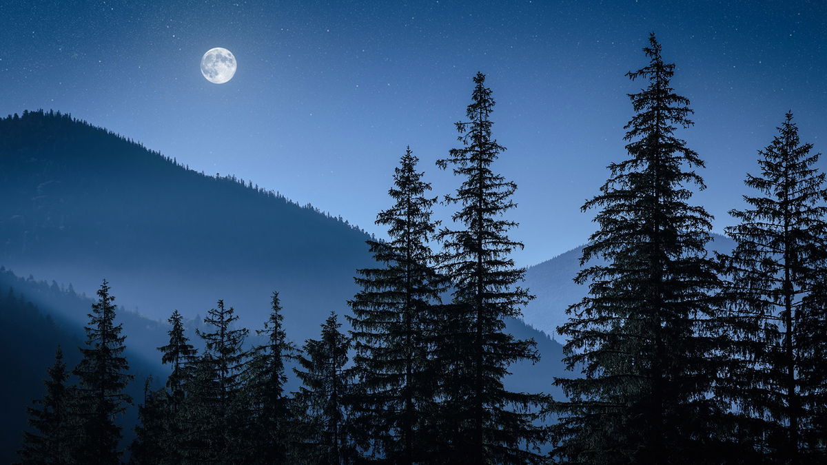 Le pouvoir des signes lunaires : Comment ils influencent nos actions et nos sentiments