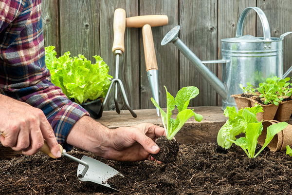 Gardening made easy: we're building a raised bed