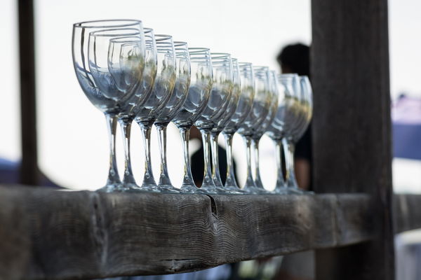 Wine knowledge: The right glass for the wine