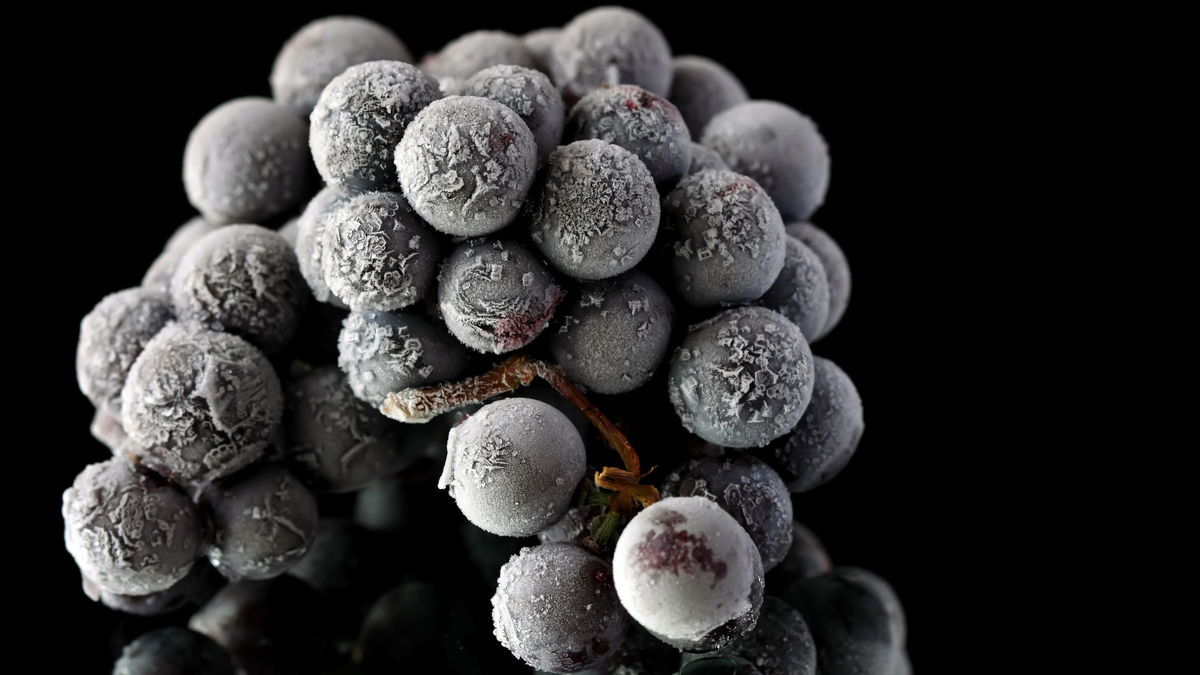 Special treat: Is ice wine in danger?