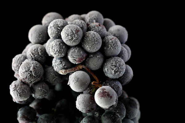 Special treat: Is ice wine in danger?