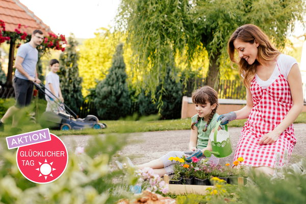 Neighborhood dispute: How to avoid stress at the garden fence